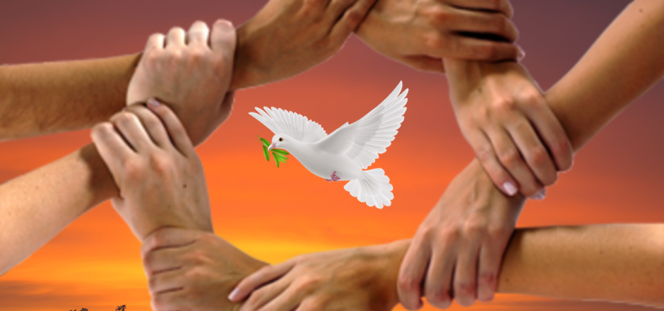 Paz Paz