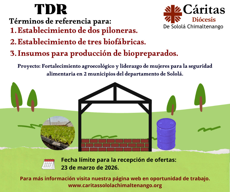 Oportunidad laboral (18)